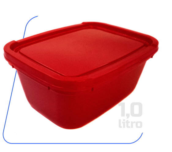 Quatropack - potes para sorvetes de 1 litro