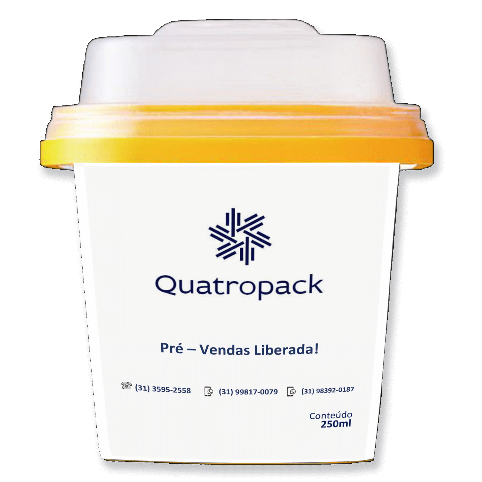 Potes para sorvete de 250 ml com tampa para granola